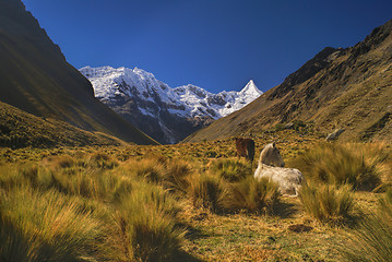 Image showing Peruvian Andes