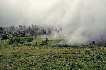 Image showing Fog