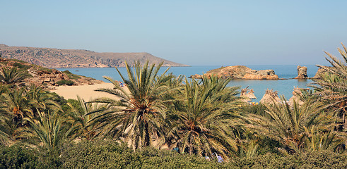 Image showing Vai beach from behind the palms