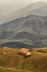 Image showing Settlement in Nagaland, India