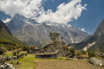 Image showing Kangchenjunga