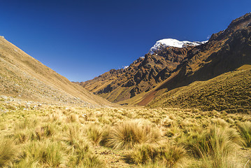 Image showing Peruvian Andes