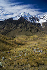 Image showing Alpamayo