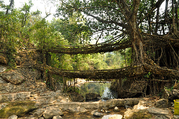 Image showing Old root bridge in India