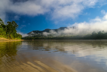 Image showing Bolivian jungle