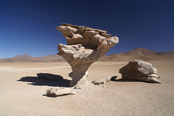 Image showing Stone tree