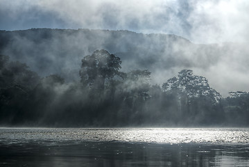 Image showing Mist in jungle