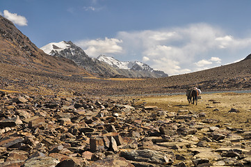 Image showing Arid valley in Tajikistan