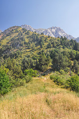 Image showing Chimgan in Uzbekistan