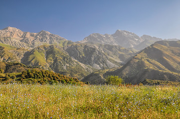 Image showing Kyrgyzstan Tien-Shan