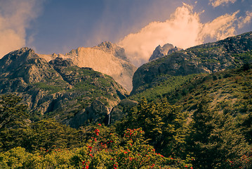 Image showing Torres del Paine