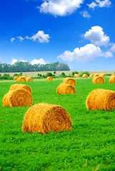 Image showing Hay bales