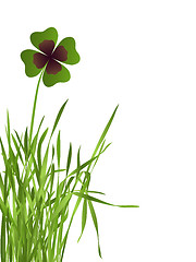 Image showing shamrock leaf in grass