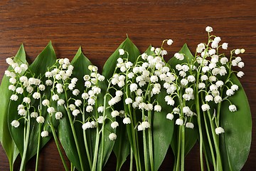 Image showing Lily of the valley.