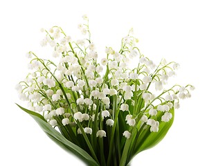 Image showing Lily of the valley.