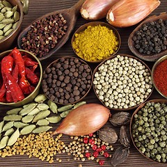 Image showing Indian spices