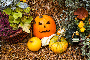 Image showing Halloween decoration with pumpkins