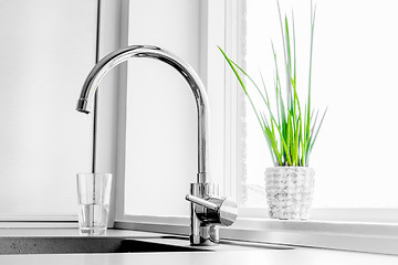 Image showing Faucet with a green plant