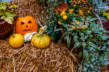 Image showing Halloween pumpkin decoration at autumn