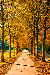 Image showing Autumn in a park