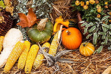 Image showing Autumn ornament with pumkins and corn