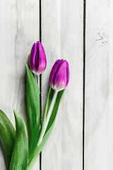 Image showing Tulip flowers on wood