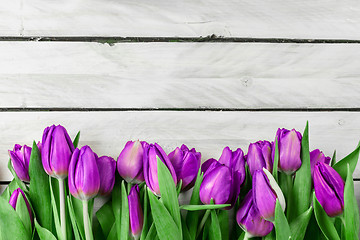 Image showing Tulip flowers on wood background