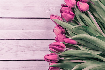 Image showing Tulip flowers in romantic colors