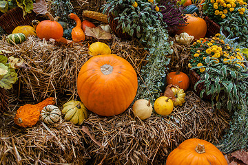 Image showing Pumpkin ornament at autumn