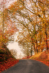 Image showing Autumn scenery with a road