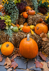 Image showing Autumn ornament with pumkins