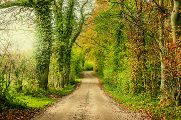 Image showing Landscape with a road