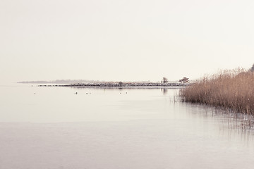 Image showing Lake scenery in the winter