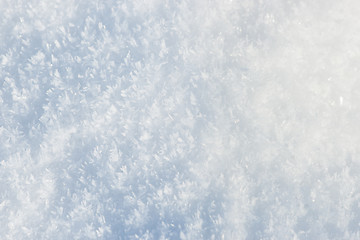 Image showing Snow background with snowflakes