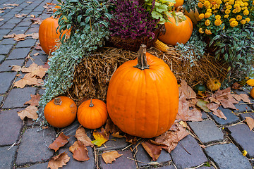 Image showing Halloween ornament at autumn