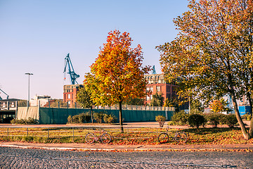 Image showing Autumn leaves at a street