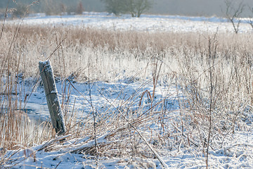 Image showing Winter landscape at a countryside