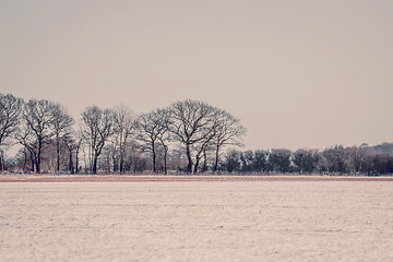 Image showing Winter landcape in violet tone