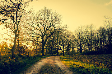 Image showing Road in nature