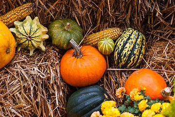 Image showing Pumpkin decoration at autumn