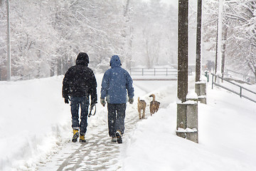 Image showing Walking in the snow