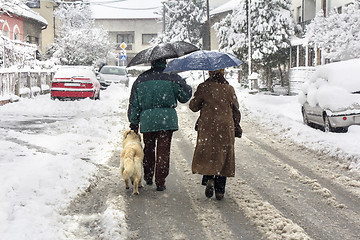 Image showing Walking in winter