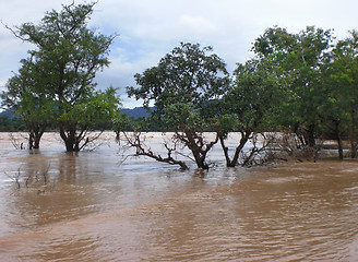 Image showing flooded scenery in Laos