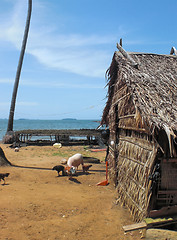 Image showing cottage in Laos