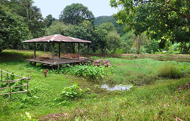 Image showing agricultural scenery in Laos