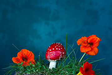 Image showing Mushroom and flower