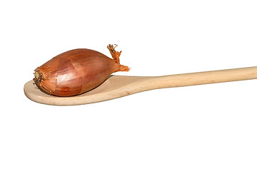 Image showing Single onion on a light wooden spoon