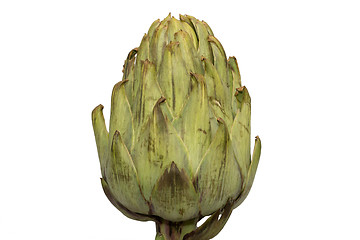 Image showing Single artichoke from side view