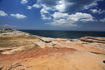 Image showing Coastal Landscape