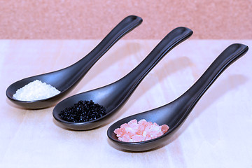 Image showing Three types of salt